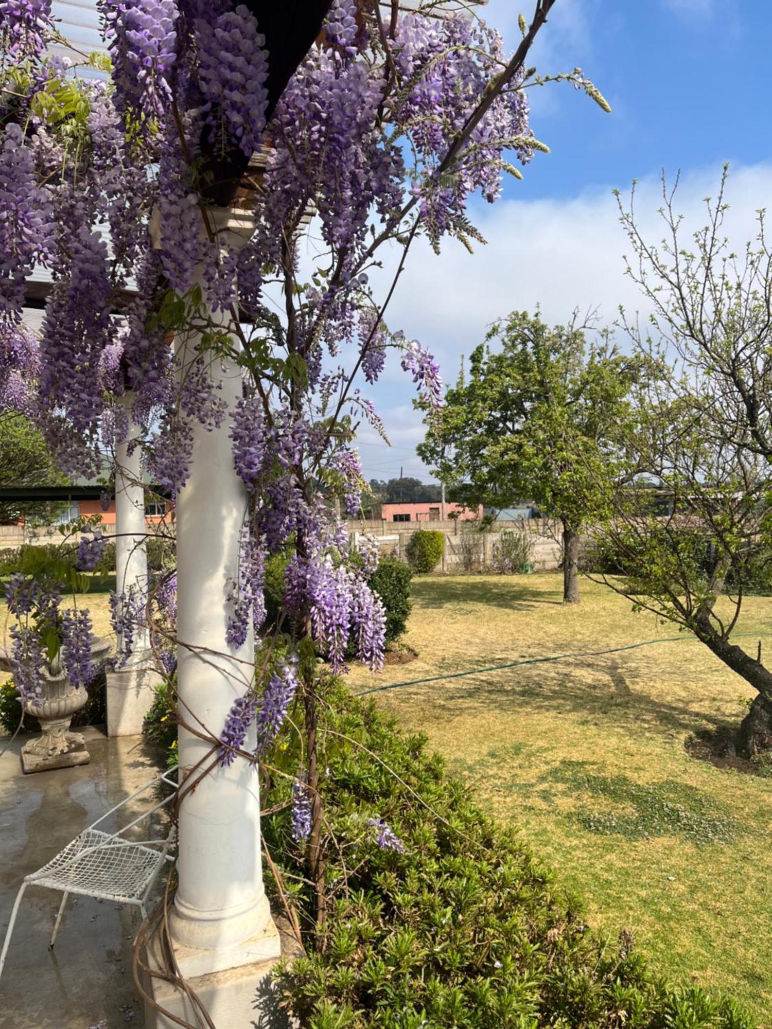 Apple And Rose Bed and Breakfast Belfast Εξωτερικό φωτογραφία